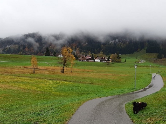 Hundetreffen 2019 im Allgäu (8)